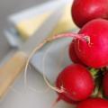Radishes: benefits and harms to the body
