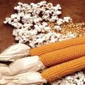 Patlamış mısır oluşumunun sırrı, yararları ve zararları