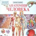 İnsan Anatomisi - Kilo Alımı M