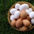 Drømmetydning Æg, æg: hvorfor drømmer du om æg, et æg i en drøm - fortolkning af drømme